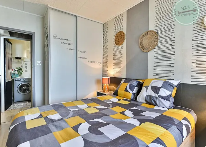 Nid Douillet Le Grand Large 2 204 * Plage-des-Demoiselles